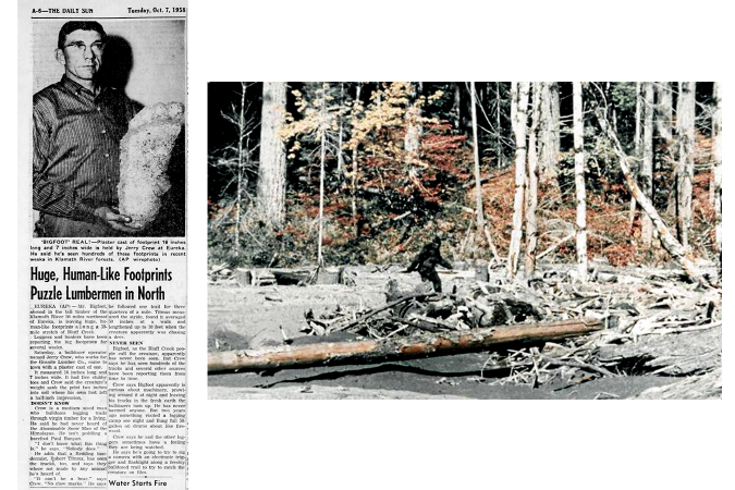 Bluff Creek footprints newspaper article, Patterson-Gimlin film clip