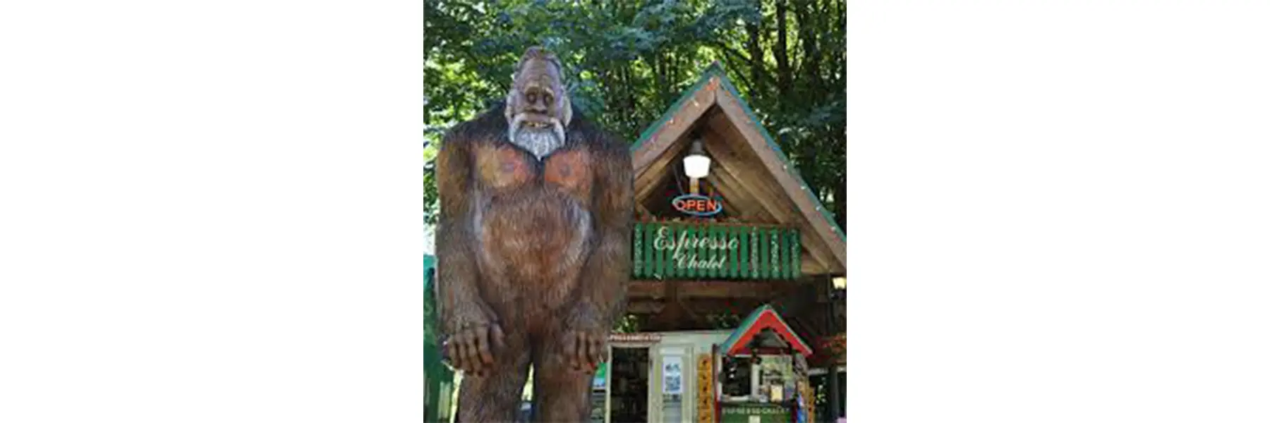 Photo of the Espresso Chalet