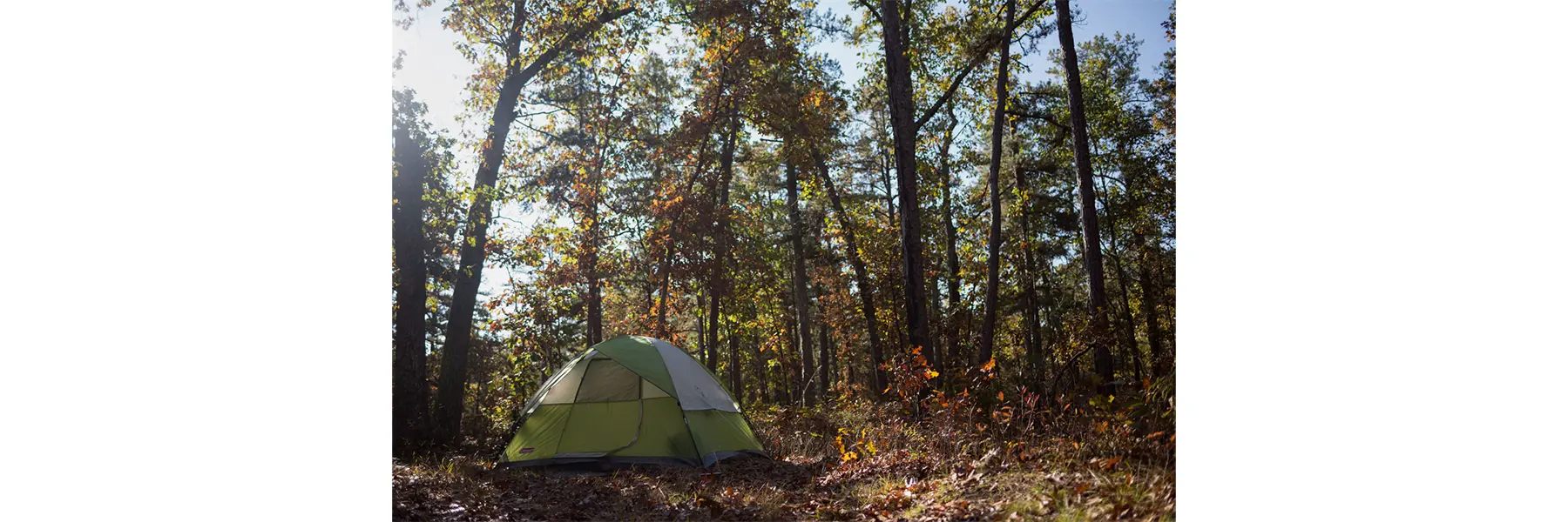 Camping in the Pine Barrens