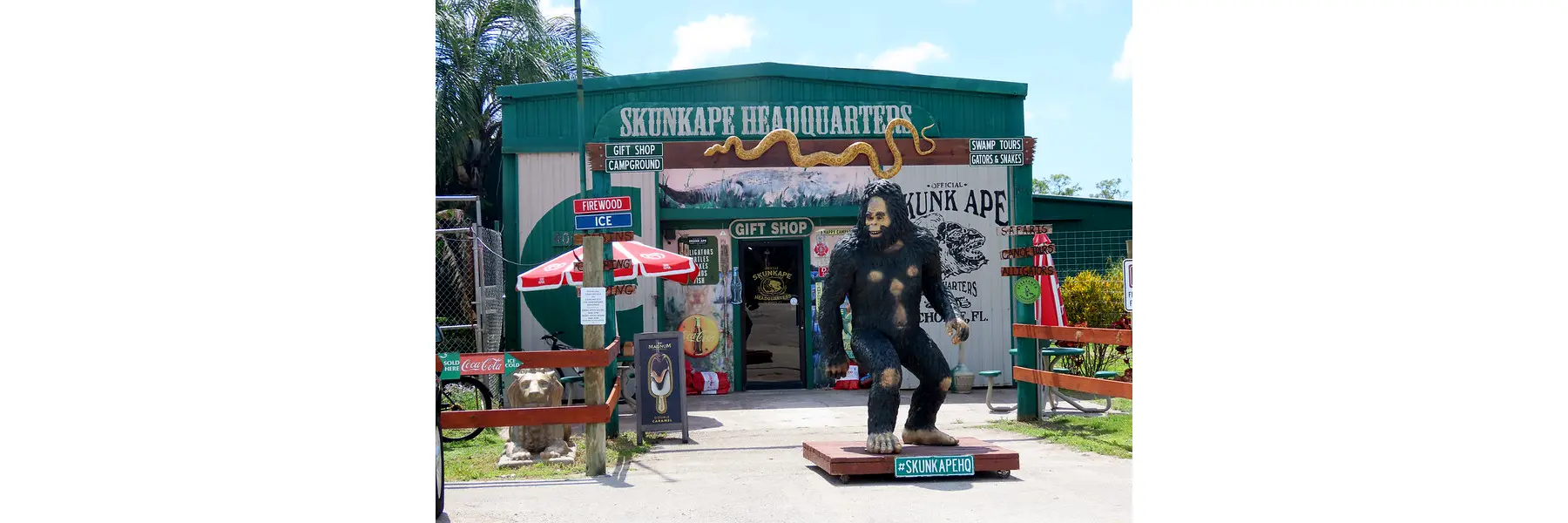 Skunk Ape Research Headquarters