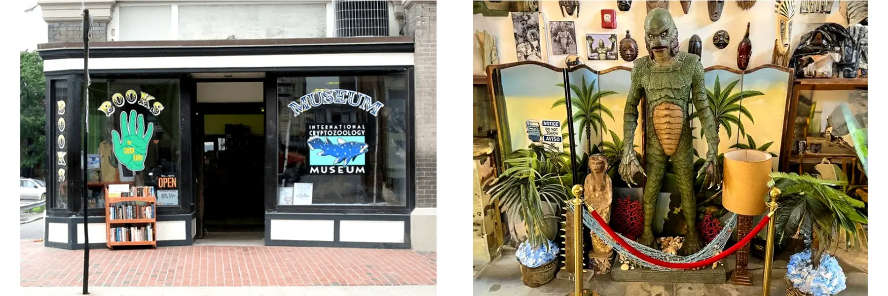 Photos of the International Cryptozoology Museum