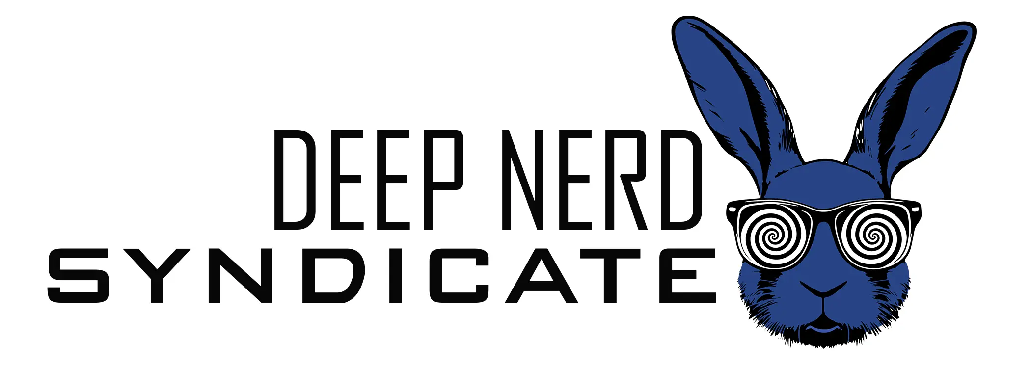 DNS logo