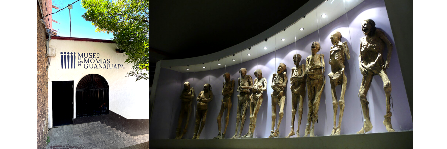 Museum of the Mummies of Guanajuato and mummies inside the museum