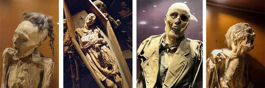Mummies from the museum collection