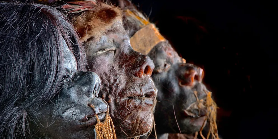 Shrunken heads in a museum exhibit