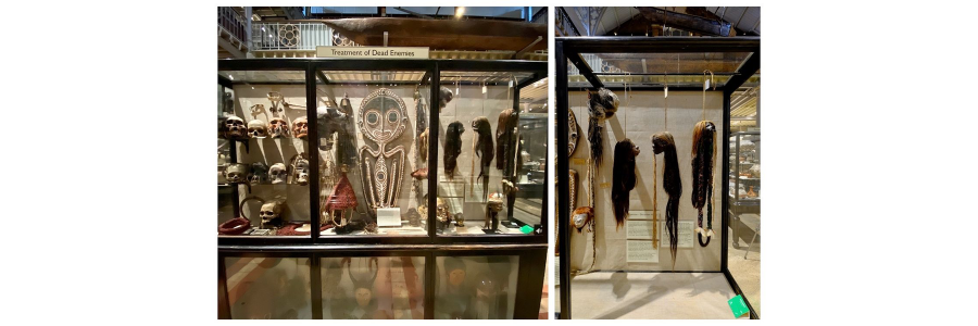 Shrunken head display at Pitt Rivers Museum/University of Oxford